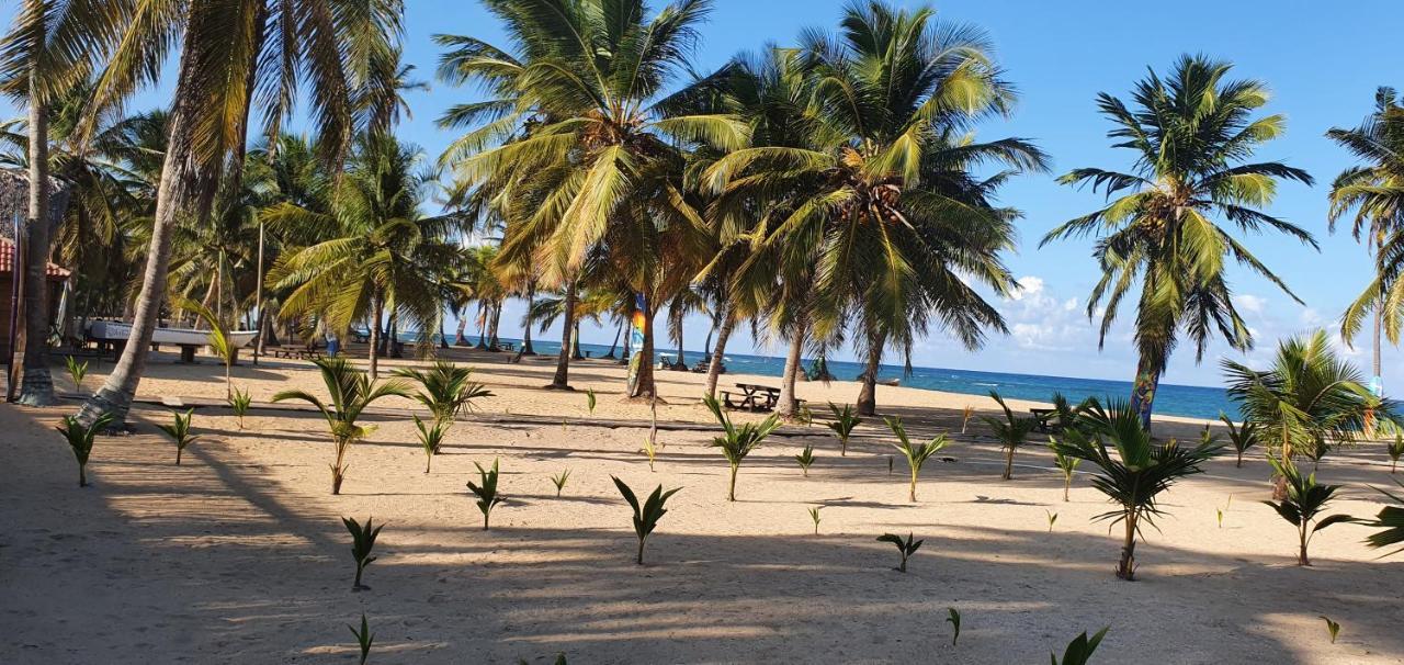 Puntacana Ecolodge Lavacama Beach Costa Arrecife By Aa Crypto Group Punta Cana Luaran gambar