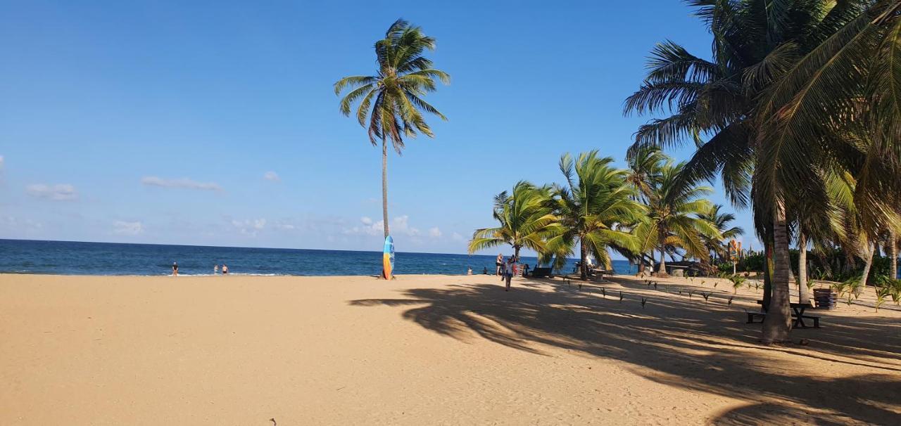 Puntacana Ecolodge Lavacama Beach Costa Arrecife By Aa Crypto Group Punta Cana Luaran gambar