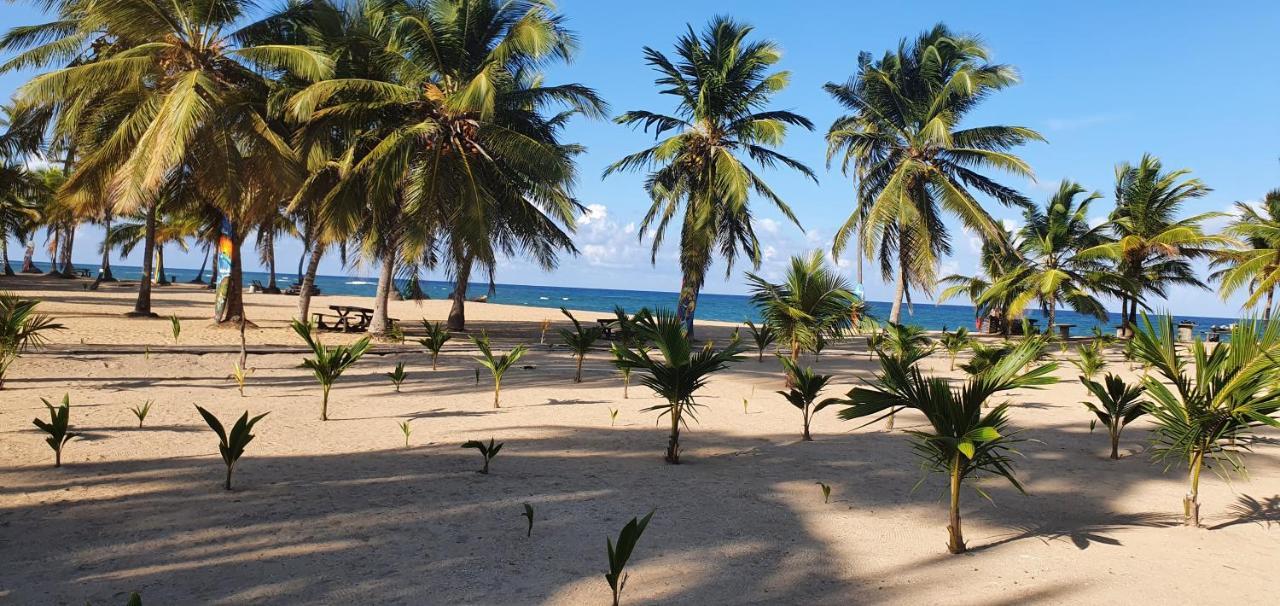 Puntacana Ecolodge Lavacama Beach Costa Arrecife By Aa Crypto Group Punta Cana Luaran gambar