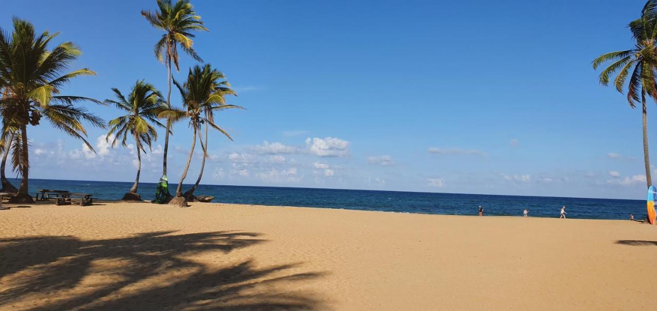 Puntacana Ecolodge Lavacama Beach Costa Arrecife By Aa Crypto Group Punta Cana Luaran gambar