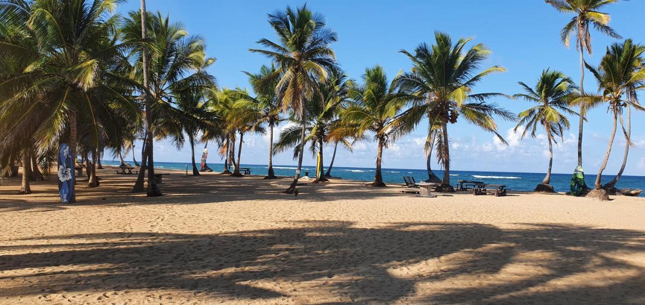 Puntacana Ecolodge Lavacama Beach Costa Arrecife By Aa Crypto Group Punta Cana Luaran gambar