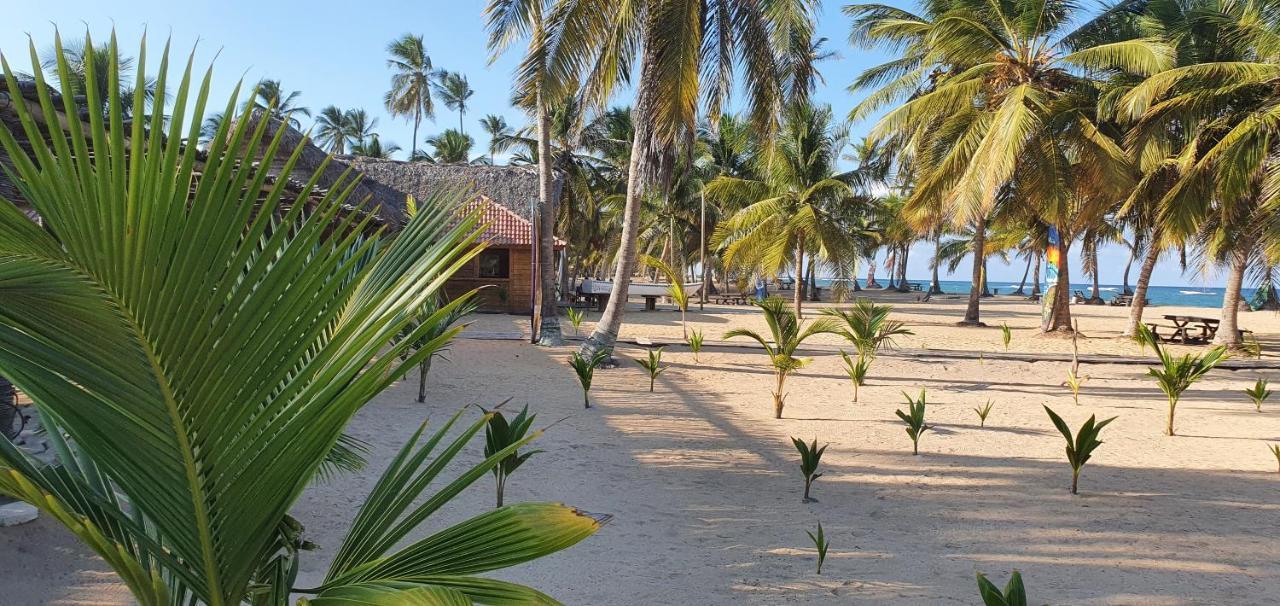 Puntacana Ecolodge Lavacama Beach Costa Arrecife By Aa Crypto Group Punta Cana Luaran gambar