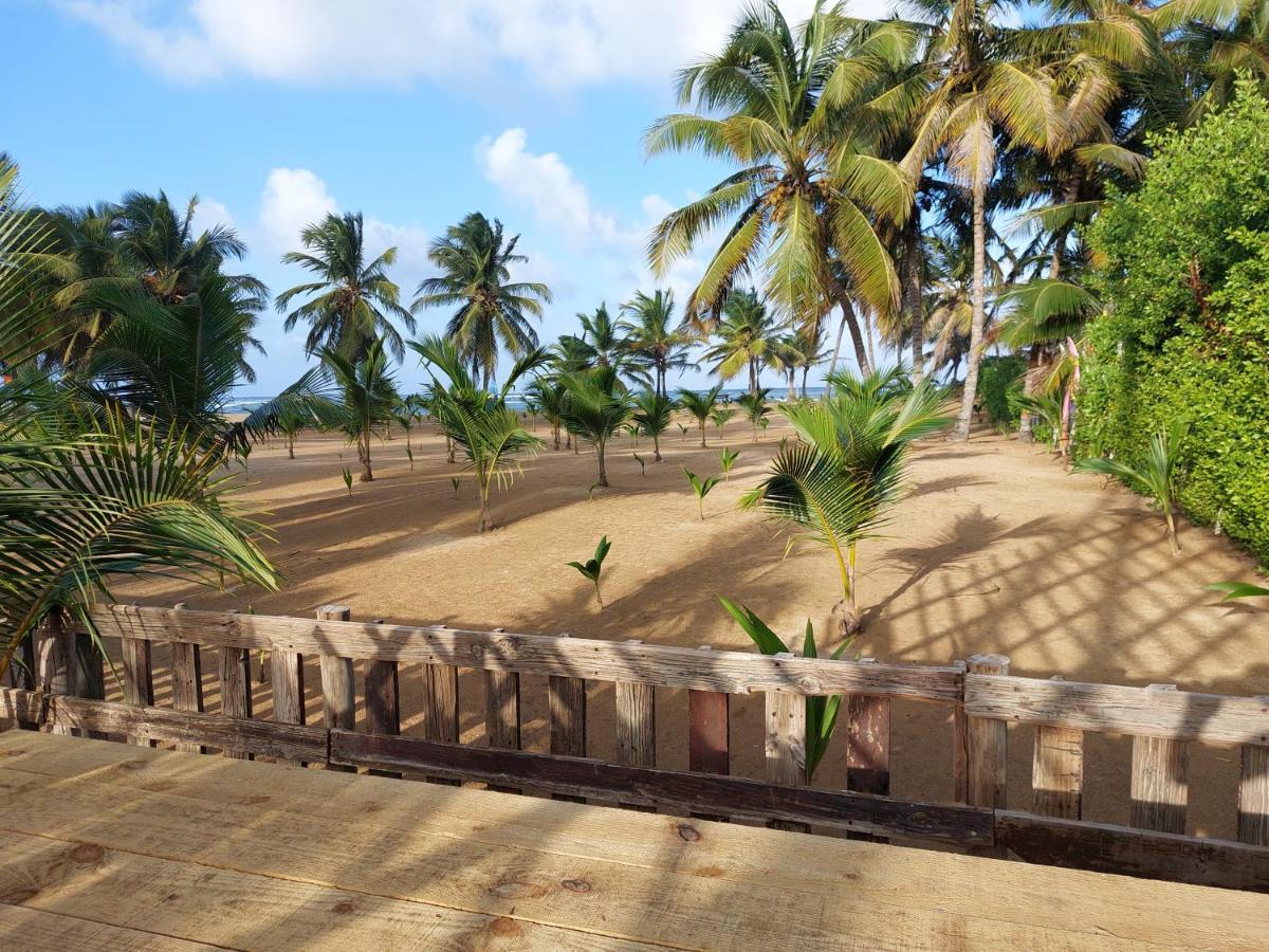 Puntacana Ecolodge Lavacama Beach Costa Arrecife By Aa Crypto Group Punta Cana Luaran gambar