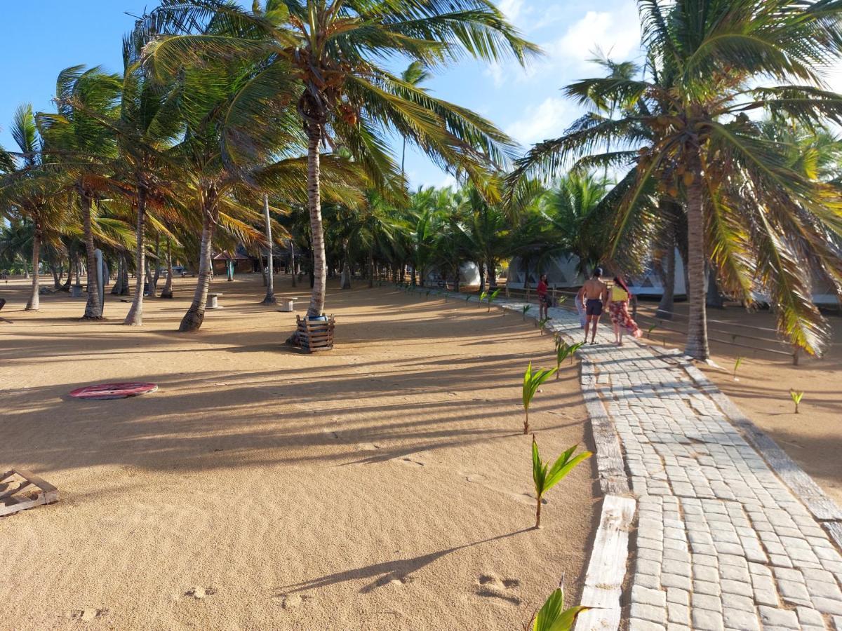 Puntacana Ecolodge Lavacama Beach Costa Arrecife By Aa Crypto Group Punta Cana Luaran gambar