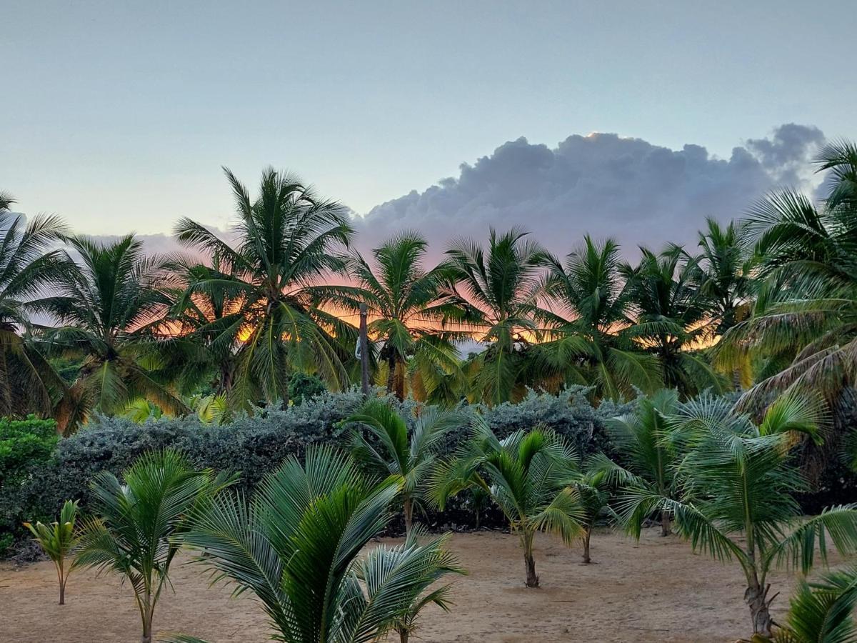 Puntacana Ecolodge Lavacama Beach Costa Arrecife By Aa Crypto Group Punta Cana Luaran gambar