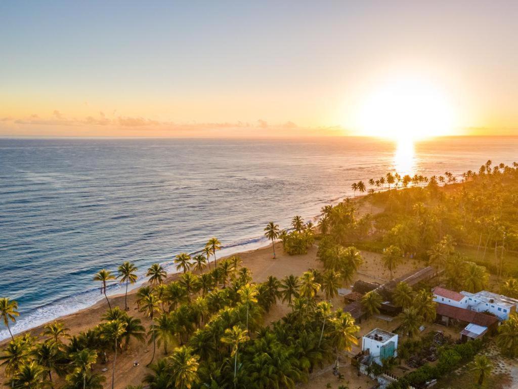 Puntacana Ecolodge Lavacama Beach Costa Arrecife By Aa Crypto Group Punta Cana Luaran gambar