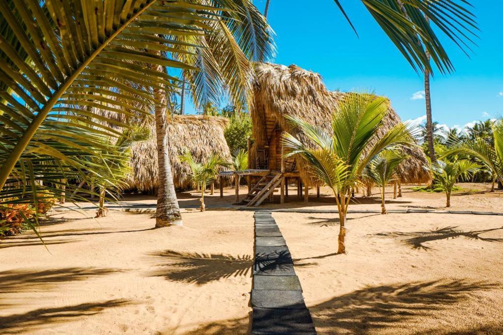 Puntacana Ecolodge Lavacama Beach Costa Arrecife By Aa Crypto Group Punta Cana Luaran gambar