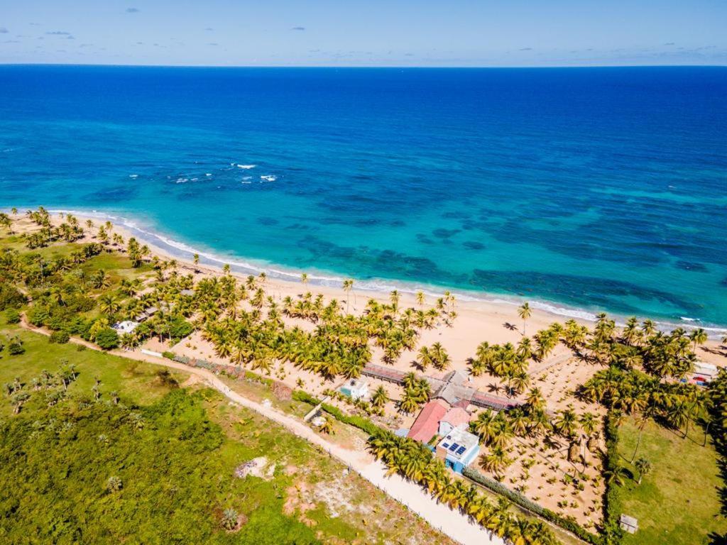 Puntacana Ecolodge Lavacama Beach Costa Arrecife By Aa Crypto Group Punta Cana Luaran gambar